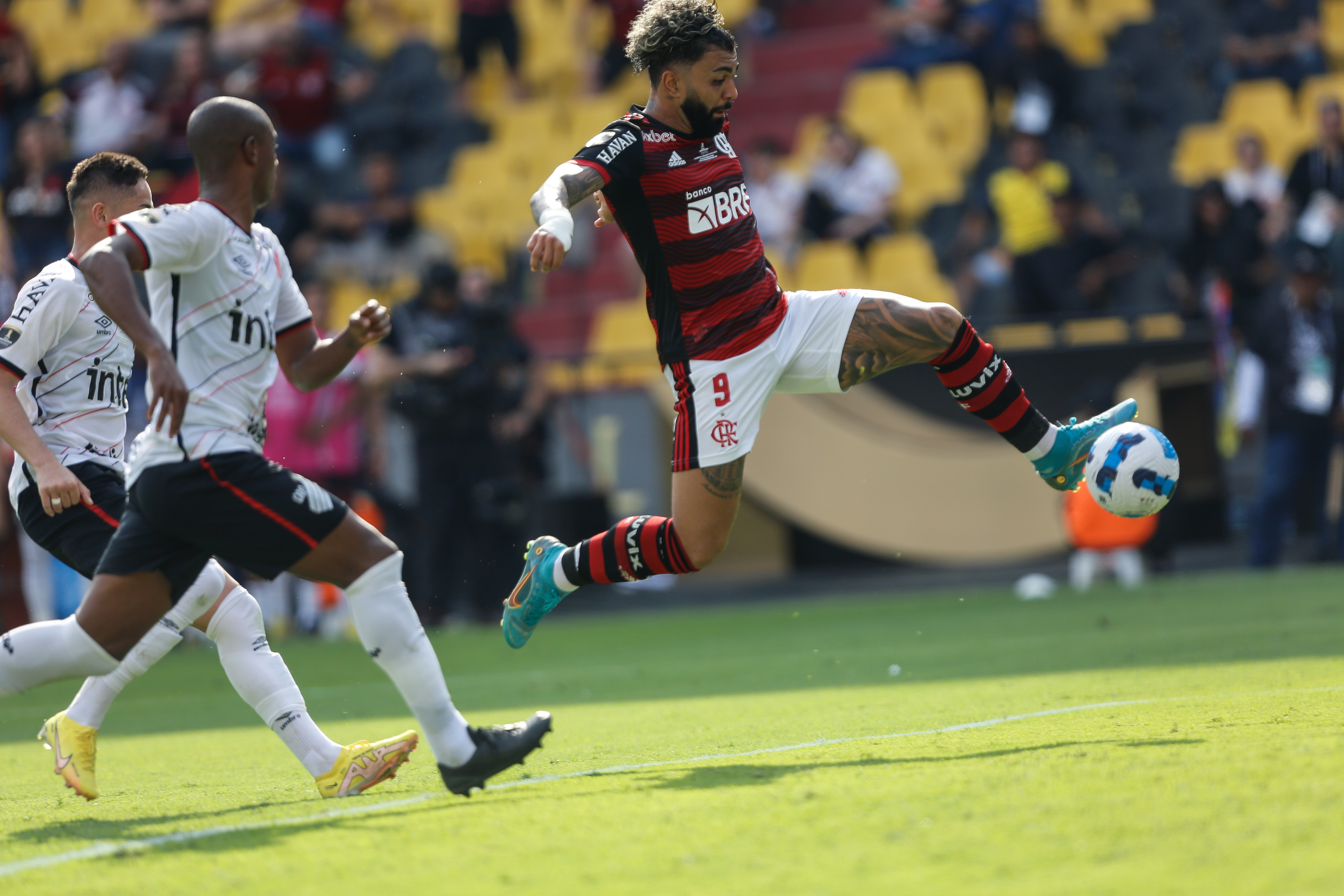 FLAMENGO É CAMPEÃO DA LIBERTADORES